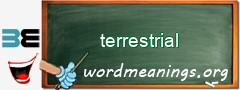 WordMeaning blackboard for terrestrial